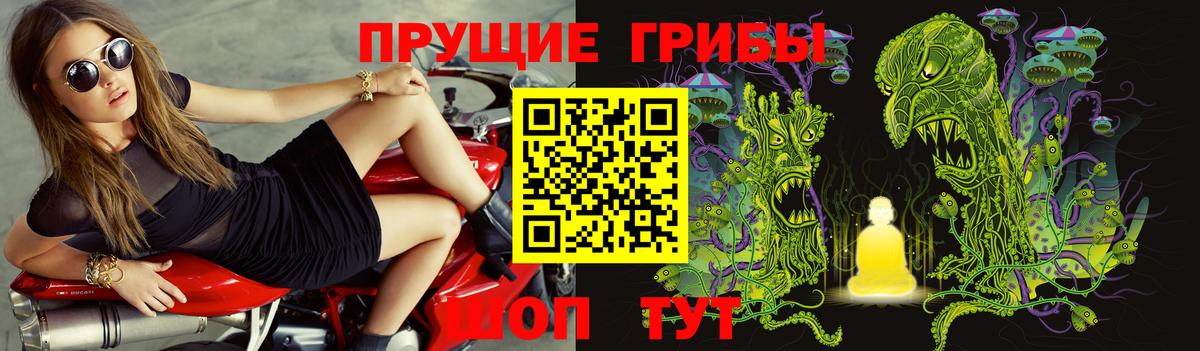 Псилоцибиновые грибы Psilocybine cubensis Нурлат